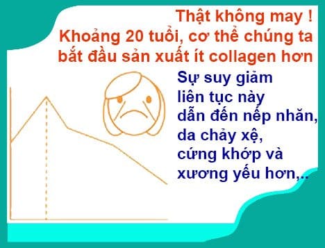 9f4ac8b6f3ac56f20fbd